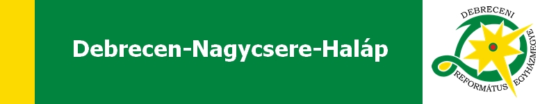 13 debrecen nagycsere haláp